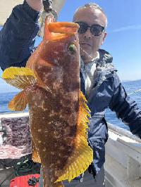 弘福丸（こうふくまる）：長崎県平戸島早福港